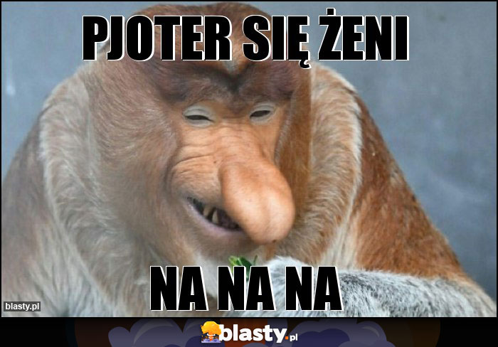 Pjoter się żeni