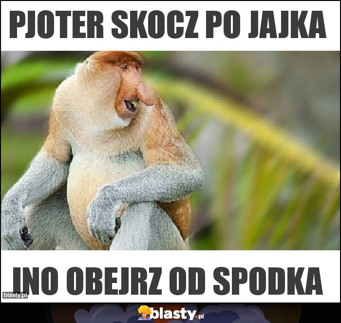 Pjoter skocz po jajka