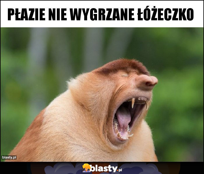 Płazie nie wygrzane łóżeczko