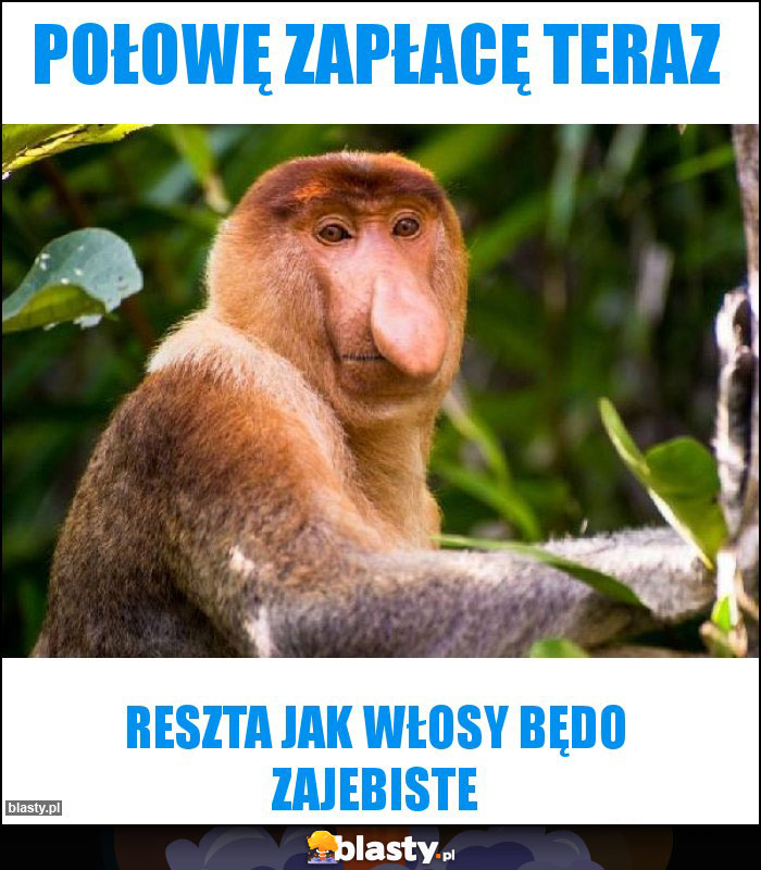 POŁOWĘ ZAPŁACĘ TERAZ