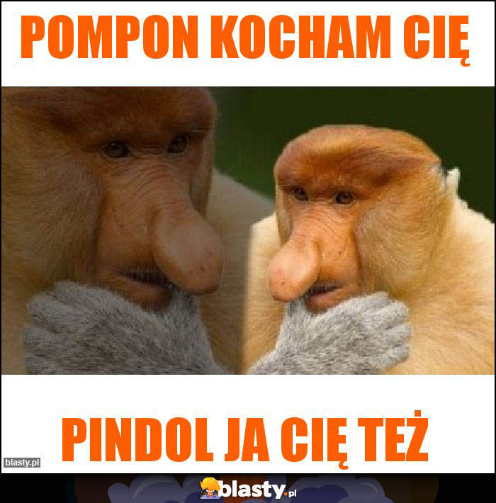 Pompon Kocham Cię