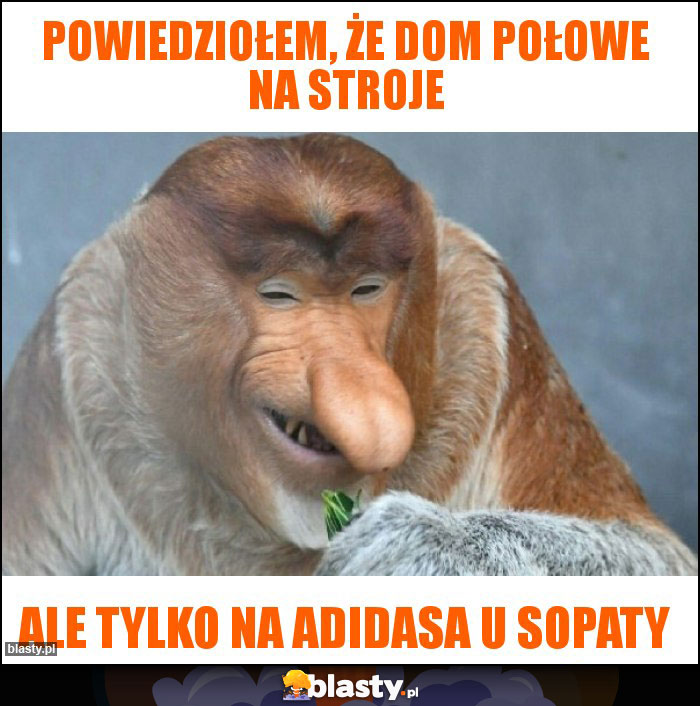 Powiedziołem, że dom połowe na stroje