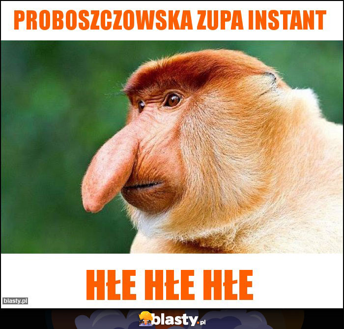 Proboszczowska zupa instant