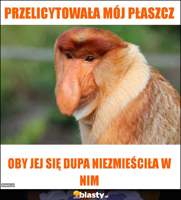 Przelicytowała mój płaszcz