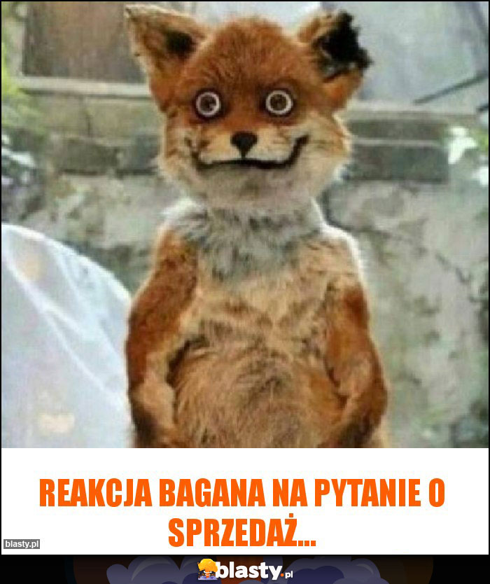 Reakcja Bagana na pytanie o sprzedaż...