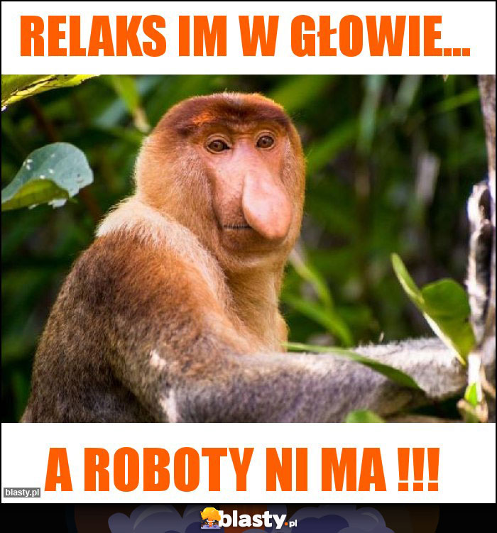 Relaks im w głowie...