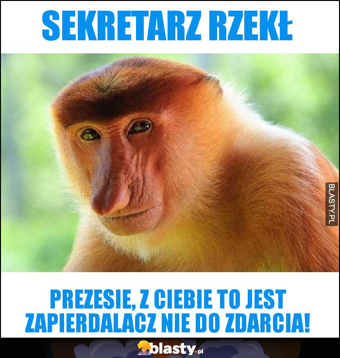 SEKRETARZ RZEKŁ