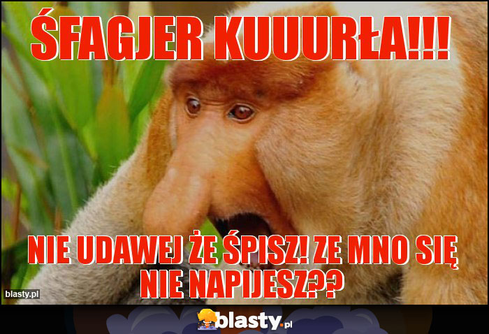 śfagjer kuuurła!!!