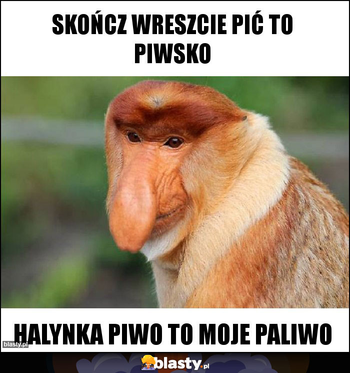 Skończ wreszcie pić to piwsko