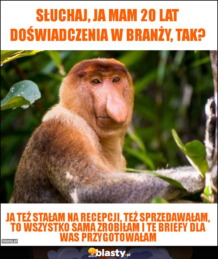 Słuchaj, ja mam 20 lat doświadczenia w branży, tak?