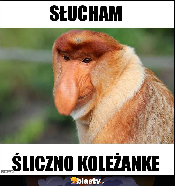 Słucham