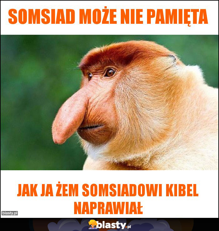 somsiad może nie pamięta