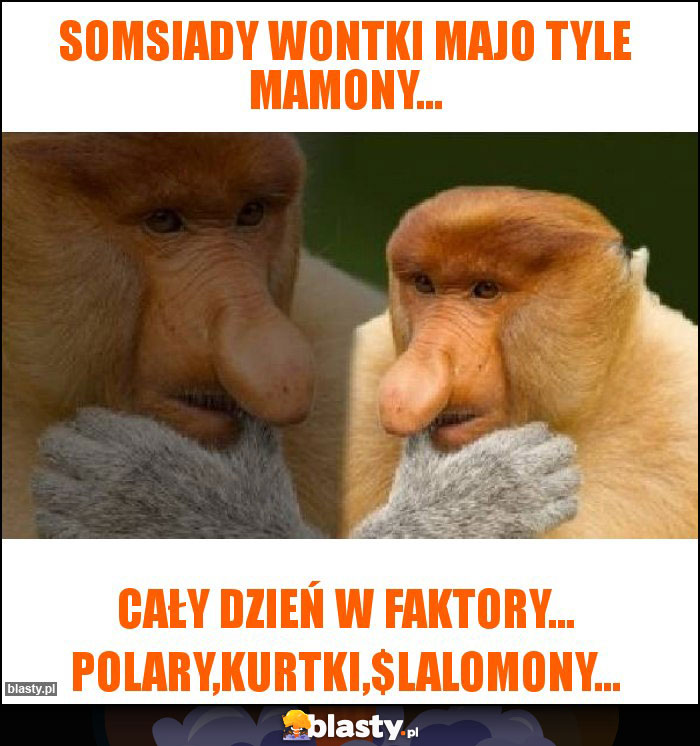 Somsiady wontki majo tyle mamony...