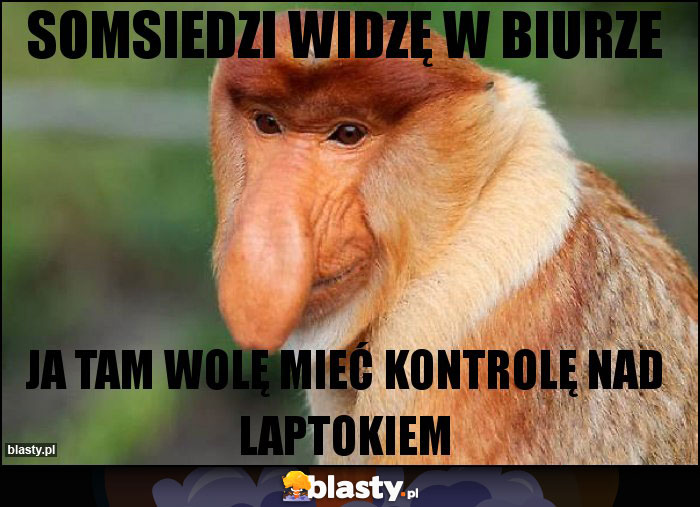 somsiedzi widzę w biurze