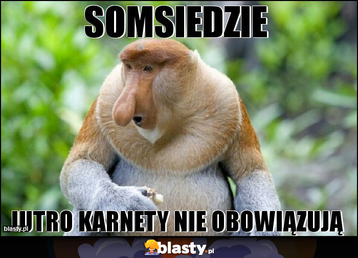 SOMSIEDZIE