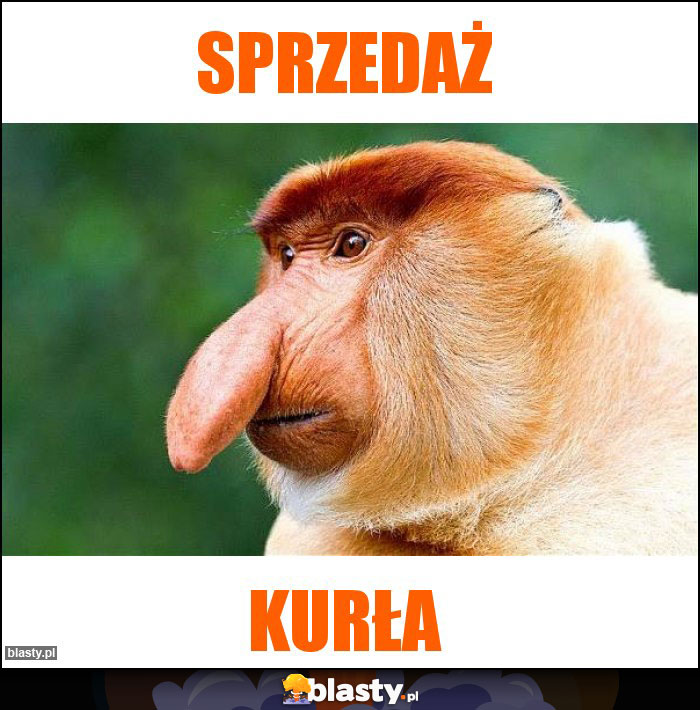 SPRZEDAŻ