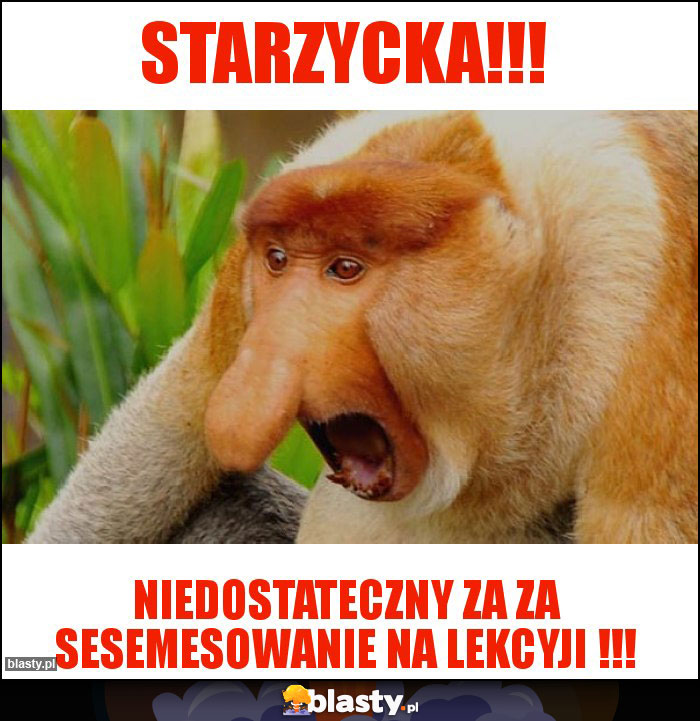 STARZYCKA!!!