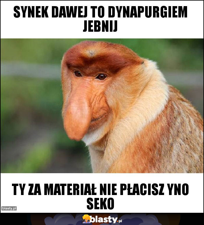 Synek dawej to Dynapurgiem jebnij