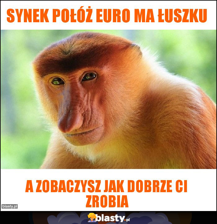 synek połóż euro ma łuszku