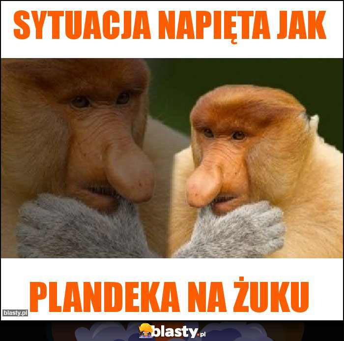 sytuacja napięta jak