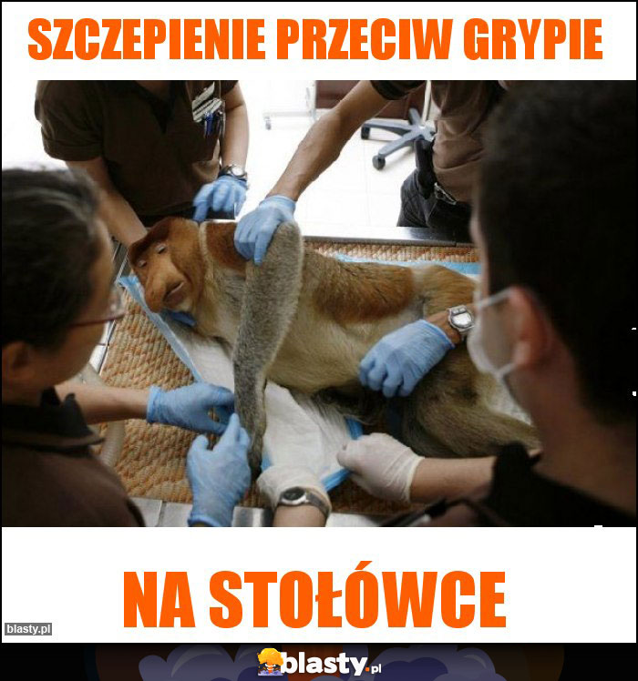 Szczepienie przeciw grypie