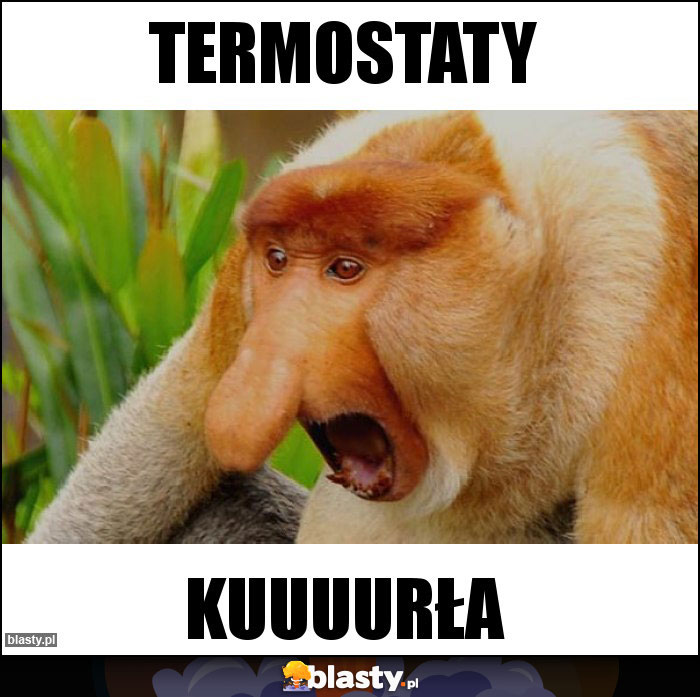 termostaty