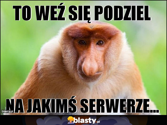 To weź się podziel