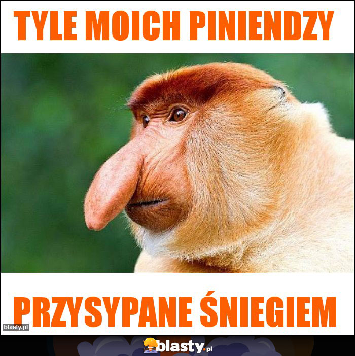 Tyle moich piniendzy