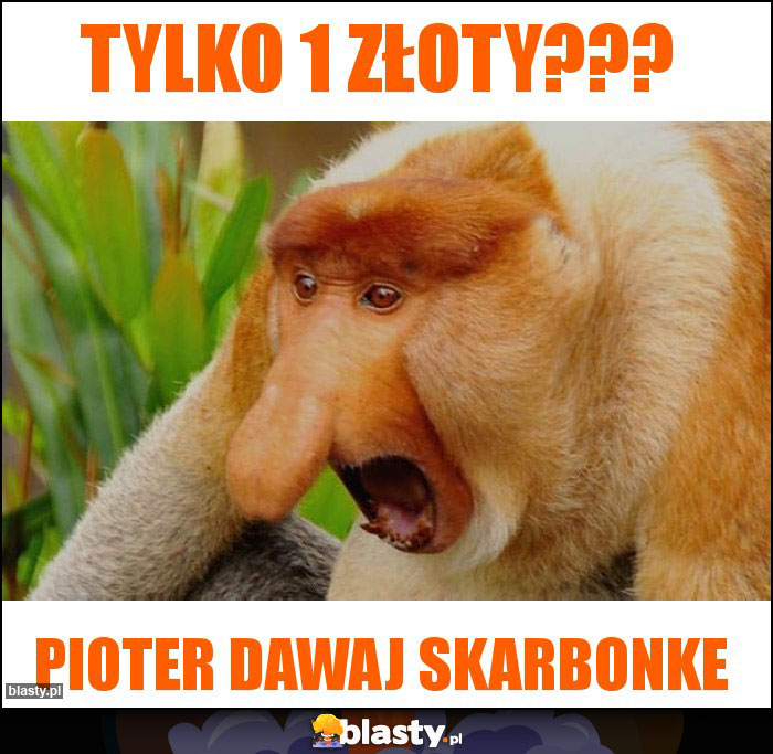 Tylko 1 złoty???