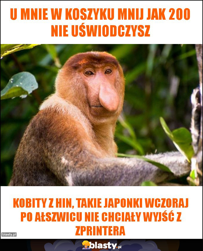 U mnie w koszyku mnij jak 200 nie uświodczysz