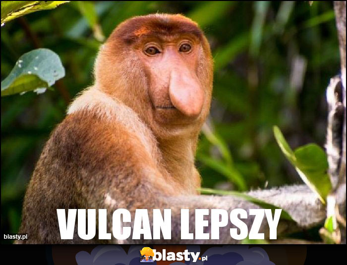 VULCAN LEPSZY