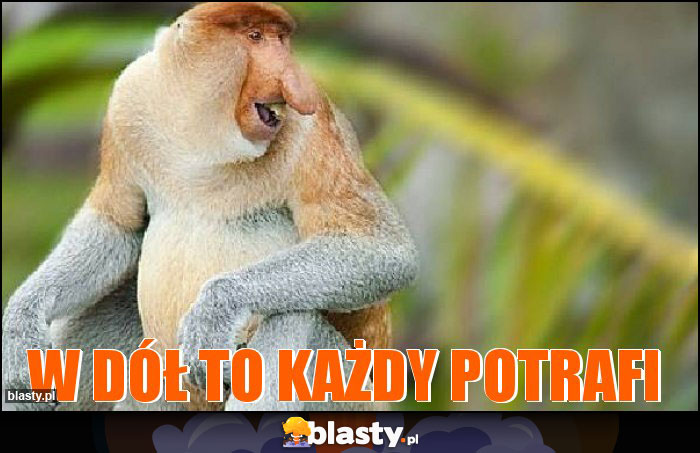 W dół to każdy potrafi