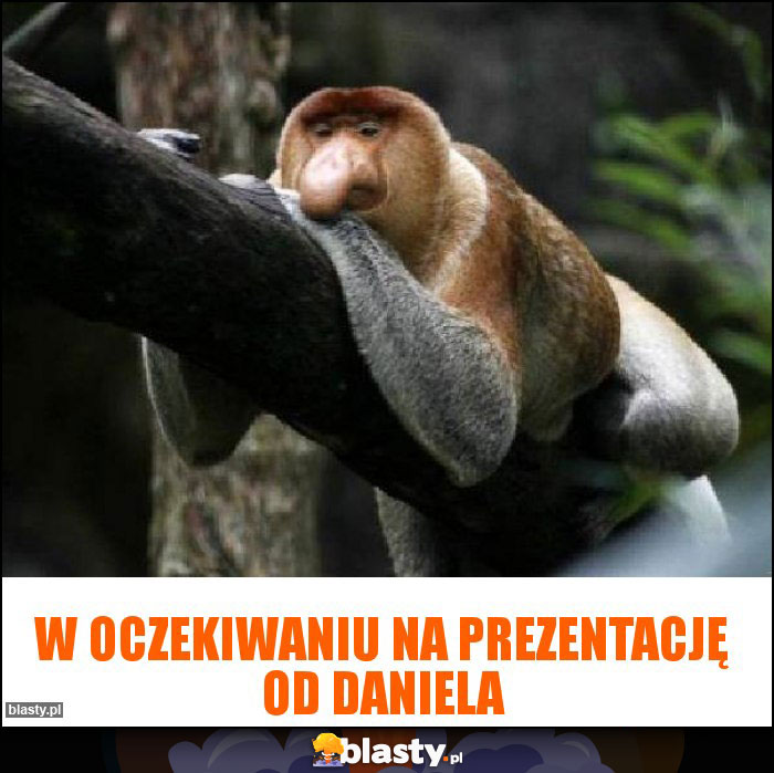 W oczekiwaniu na prezentację od Daniela