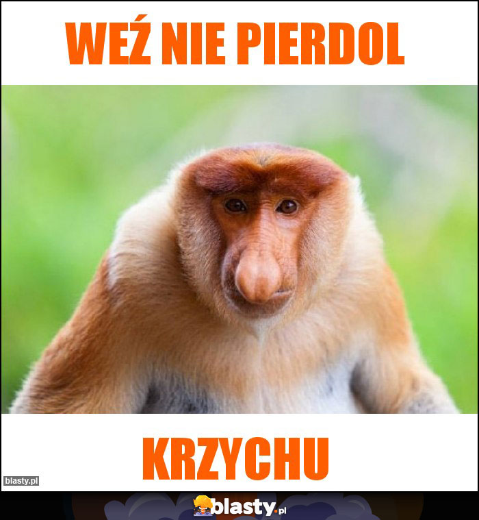 weź nie pierdol