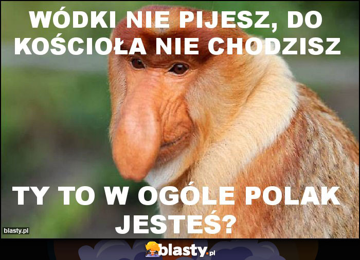 Wódki nie pijesz, do kościoła nie chodzisz