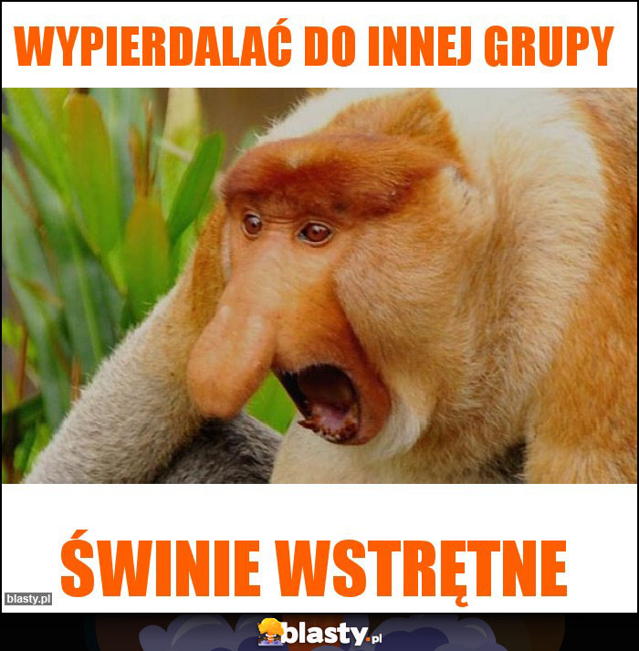 Wypierdalać do innej grupy