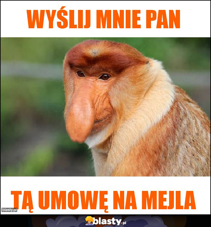 Wyślij mnie pan