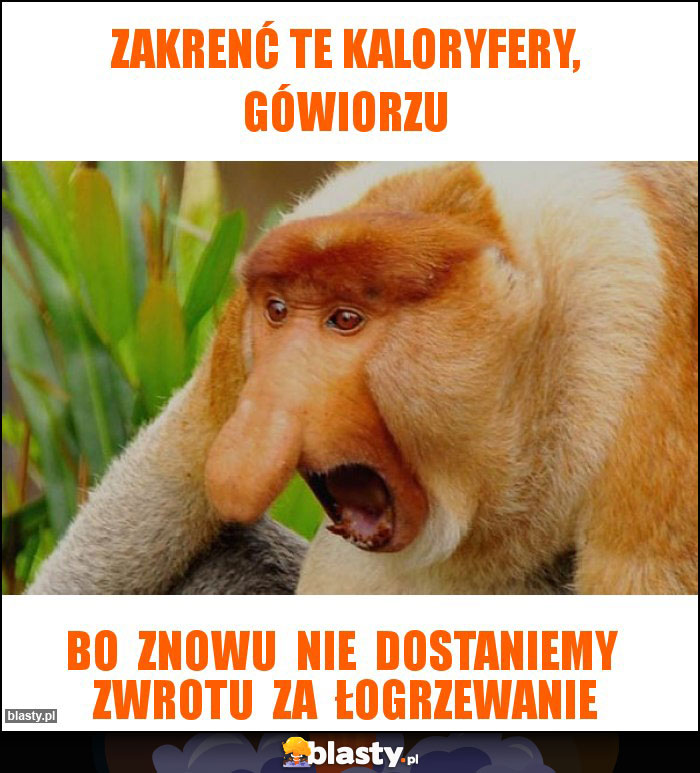 zakrenć te kaloryfery, gówiorzu