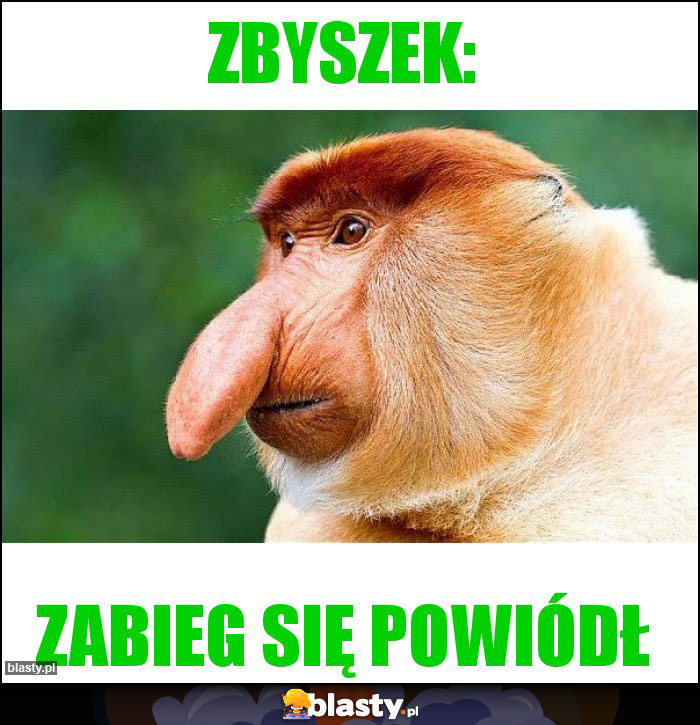 Zbyszek: