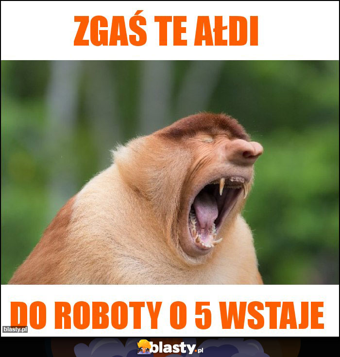 Zgaś te ałdi