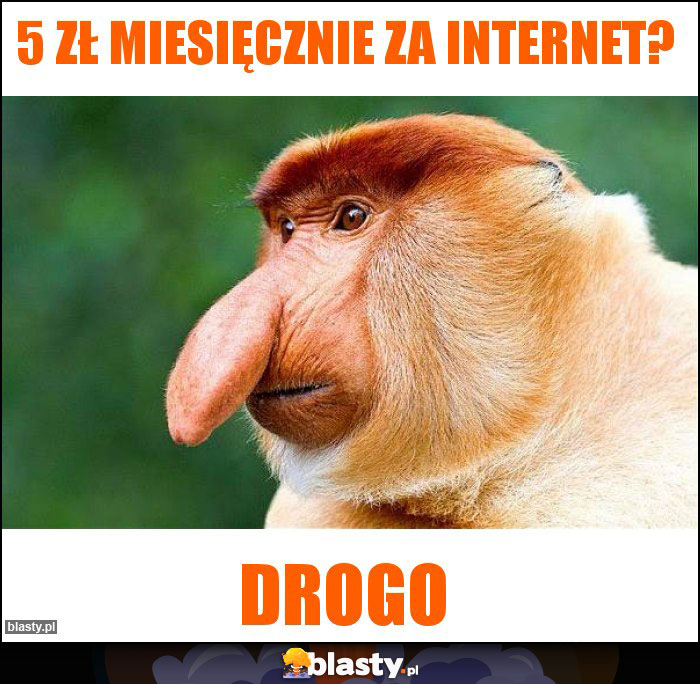 5 zł miesięcznie za internet?