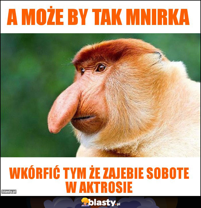 A może by tak mnirka