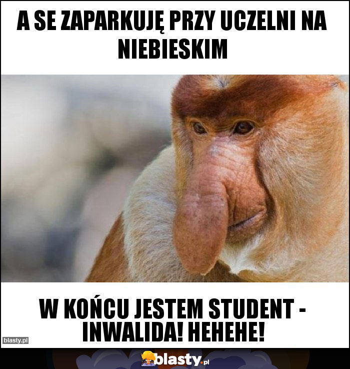 A se zaparkuję przy uczelni na niebieskim