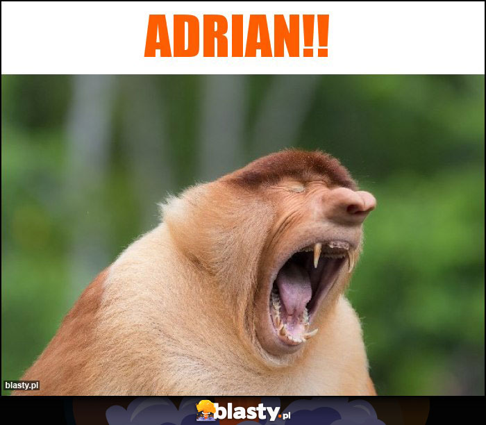 Adrian!!