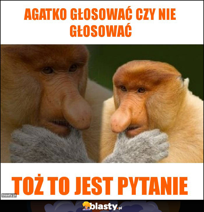 Agatko głosować czy nie głosować