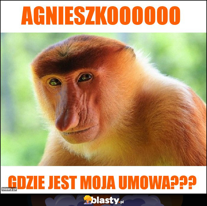 AGNIESZKOOOOOO