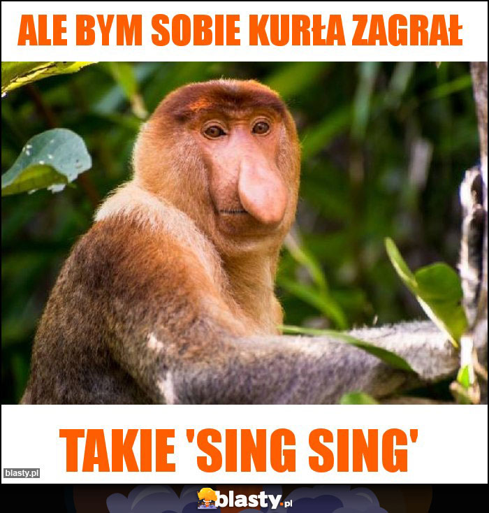 Ale bym sobie Kurła zagrał