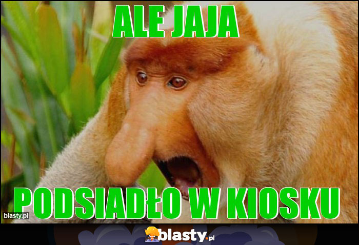 ALE JAJA