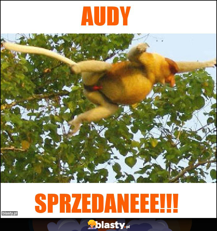 Audy