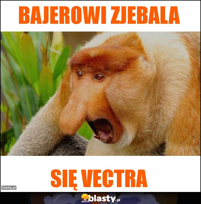 BAJEROWI ZJEBALA